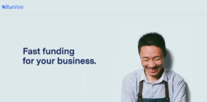 Read more about the article BlueVine