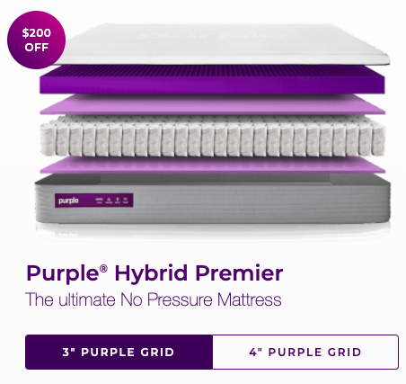 purple_hybrid premier