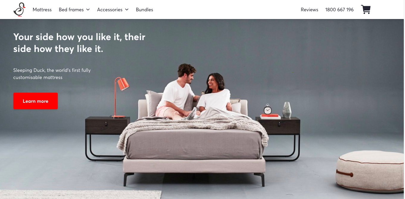 Sleeping Duck Best Foam Spring and Hybrid Mattresses