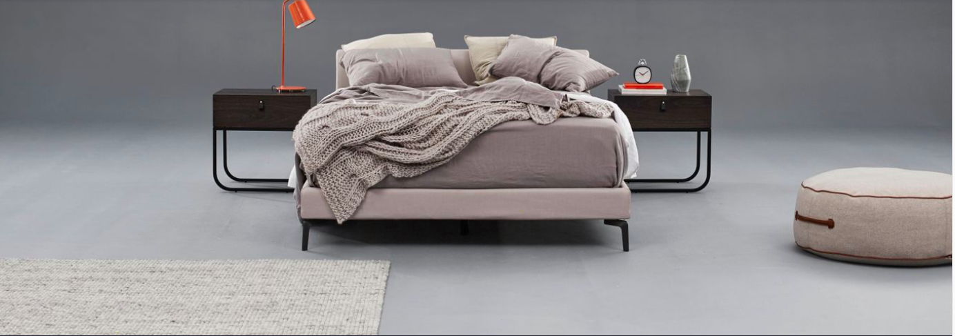 Sleeping-duck_image